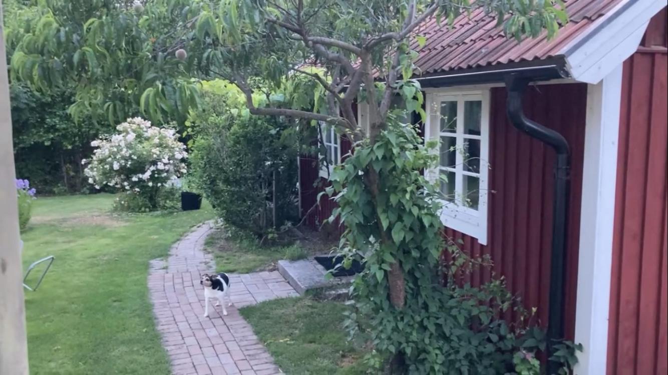 Isans Stuga Broby Екстериор снимка